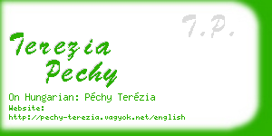 terezia pechy business card